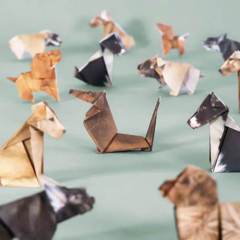 Creative DIY Paper Cats 50 She - đánh giá và giá Art Craft Dinosaurs